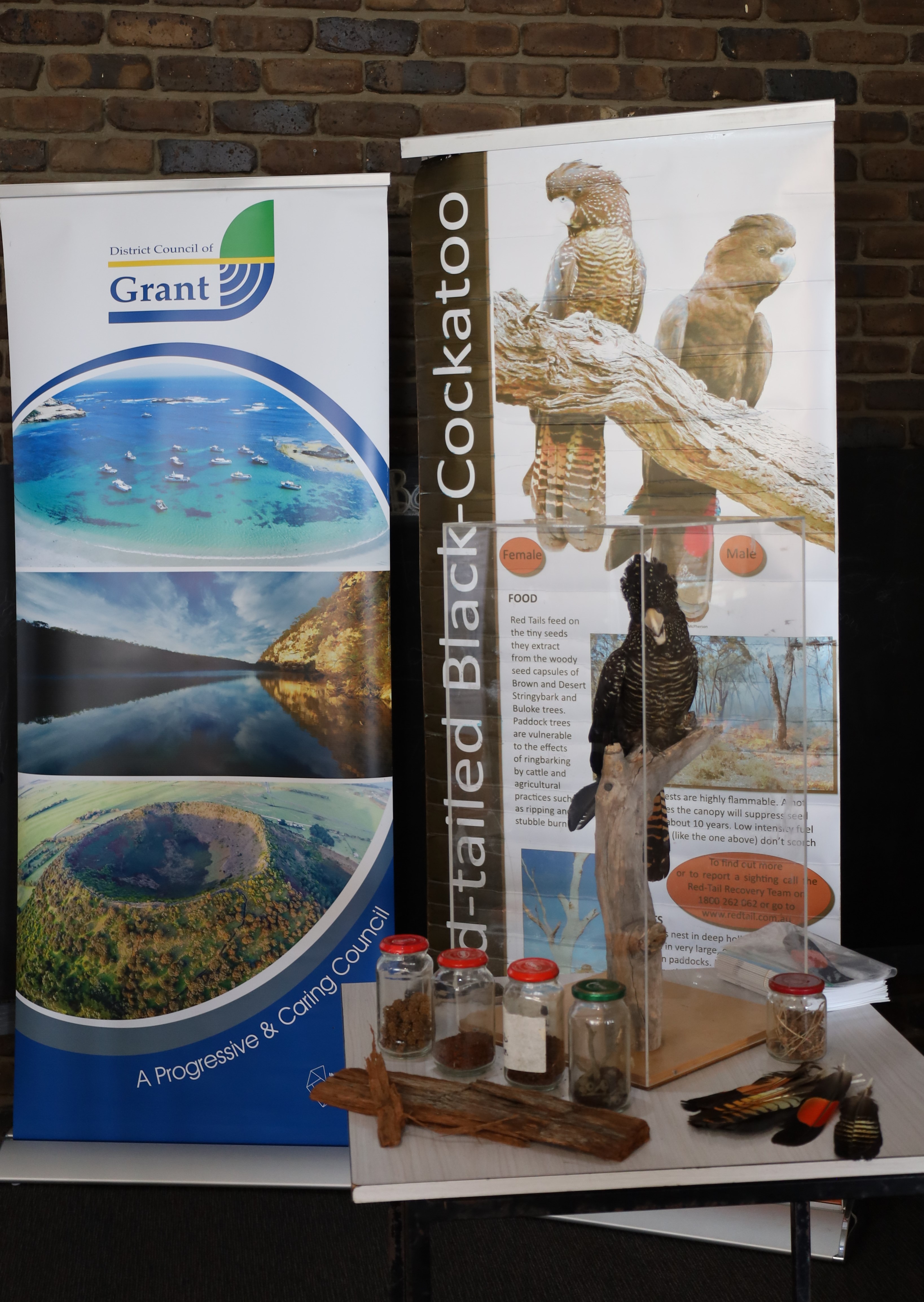 Mount Schank - Display