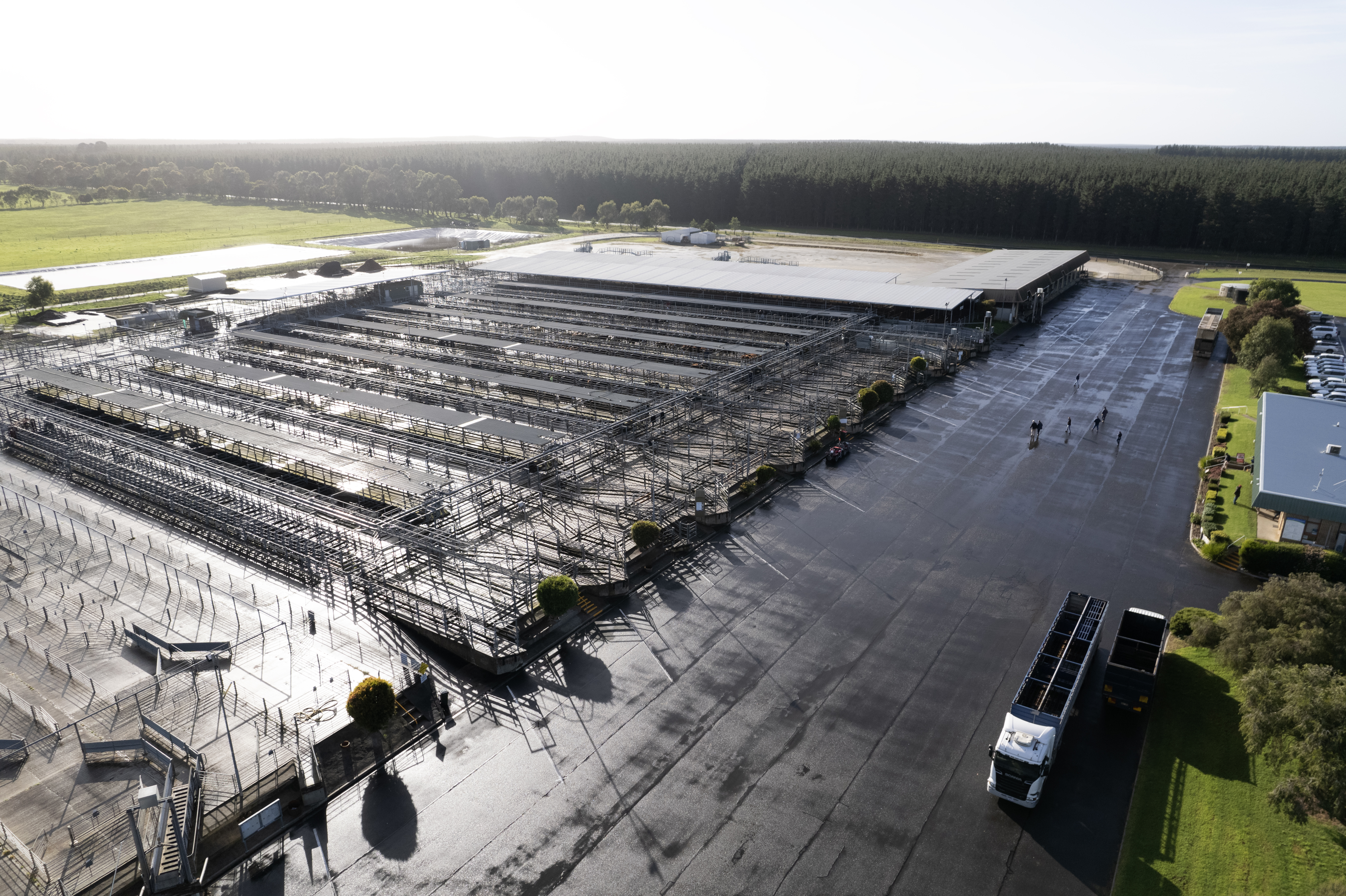 saleyards