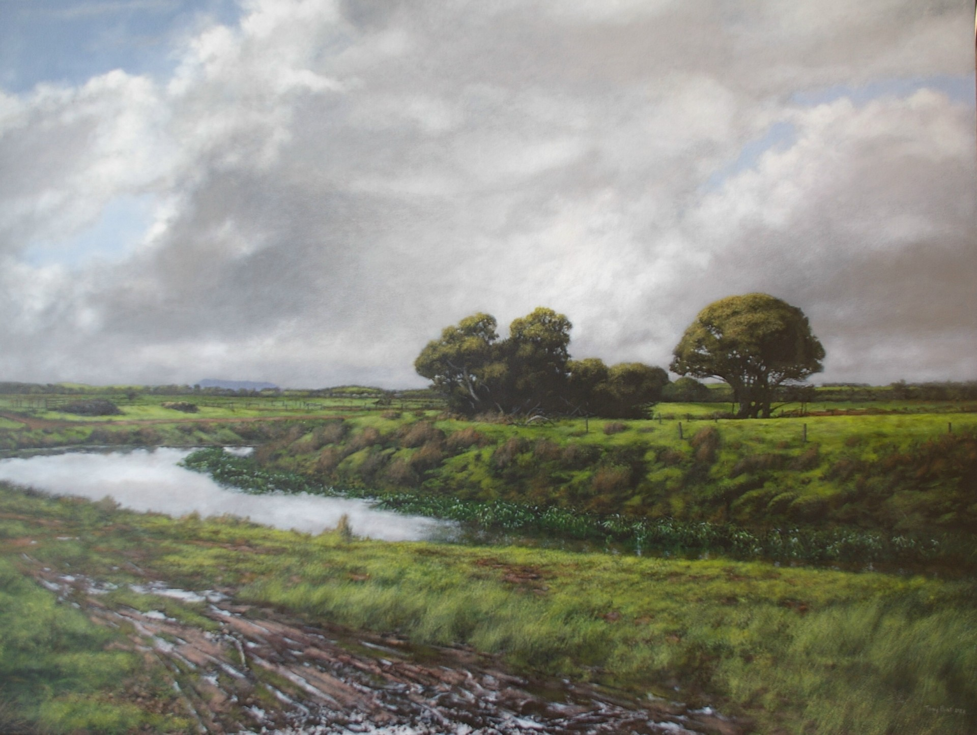 Tony Flint's Landscape. Eight Mile Creek.